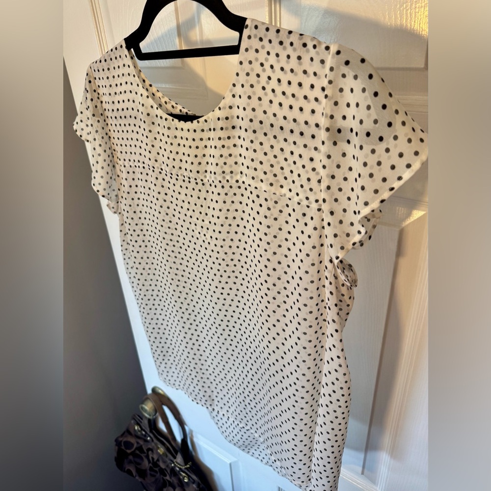 Maison Jules Off-White with Black Polka Dot Sheer Blouse Size Large - Picture 3 of 16